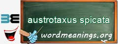 WordMeaning blackboard for austrotaxus spicata